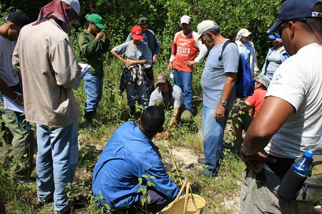 Al sur de Jobabo se hace ciencia al servicio del medio ambiente (+post, fotos, video) 3 Estudio De Cocodrilo