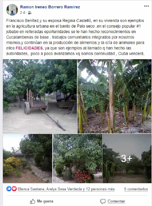 palo seco-jobabo-agricultura familiar