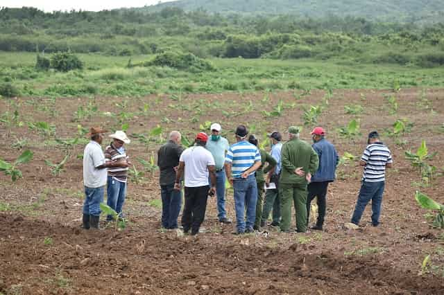 visita agricultura jobabo