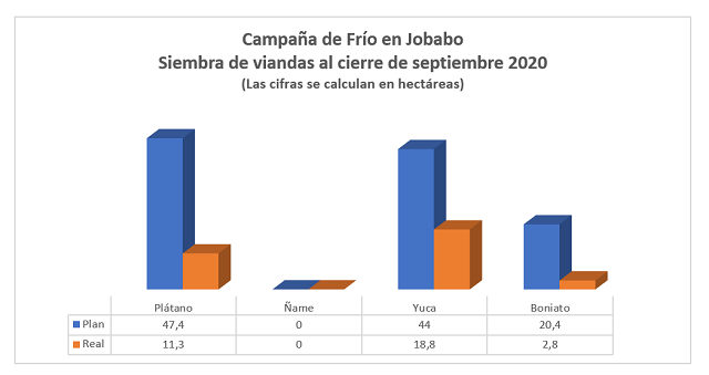 siembra de viandas Jobabo