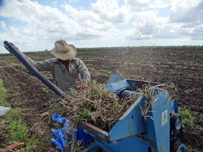 agricultura jobabo