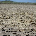 suelos áridos por la sequía en Jobabo
