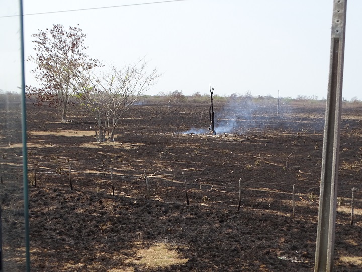 potrero incendiado en Jobabo