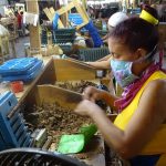 Tabaquería de Jobabo protege a sus trabajadores y garantiza cumplimiento del plan