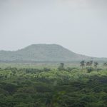 Jobabo Paisaje