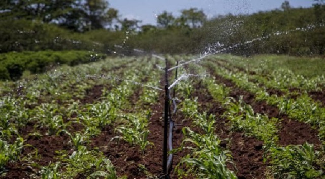 Producciones Agricolas