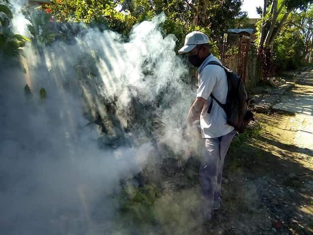 fumigación aedes