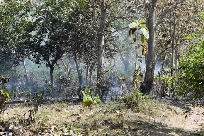 tecas-incendio Jobabo