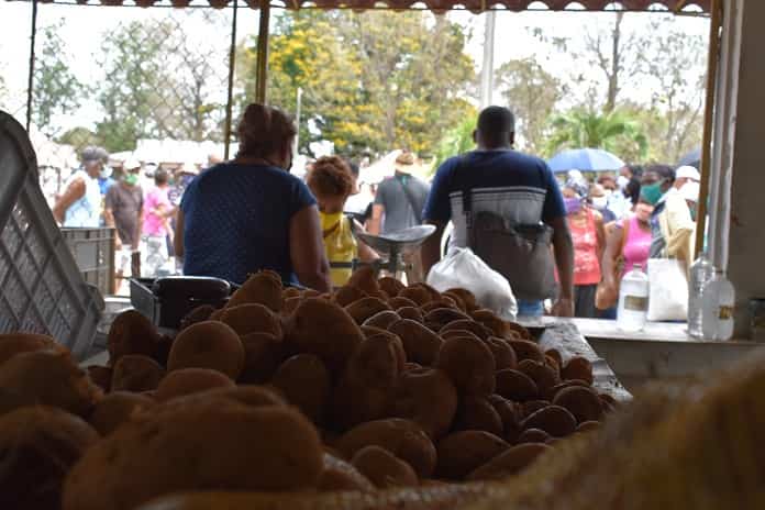 Comienza venta regulada de tres libras de papas por consumidor en Jobabo