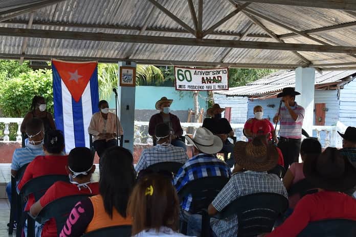 acto anap