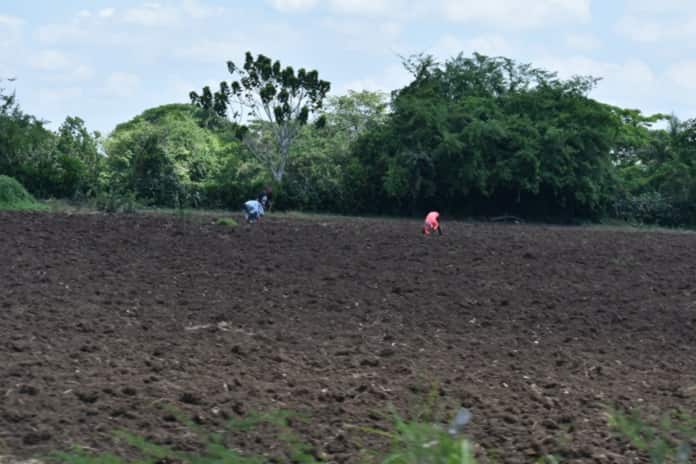 Seminarios en Jobabo para preparar a dirigentes de base del sector agropecuario y campesinos en nuevas normativas