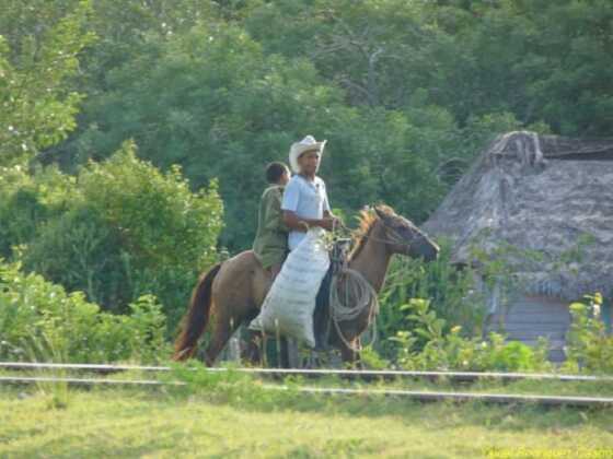 ninos a caballo