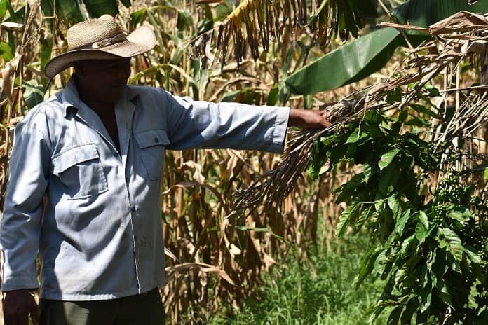 Agricultura, planes y limitaciones objetivas 1 edelmis c
