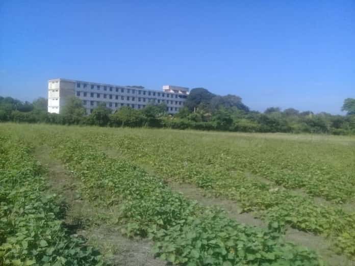 politécnico de Jobabo