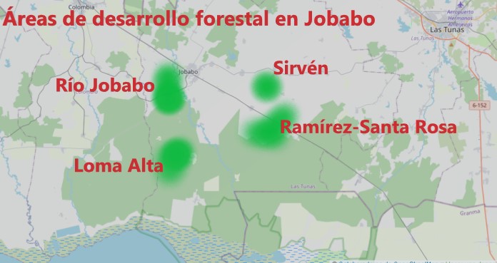 areas desarrollo forestal