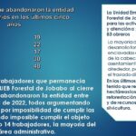 forestal