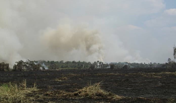 Incendio forestal en las inmediaciones de Monte Cabaniguán