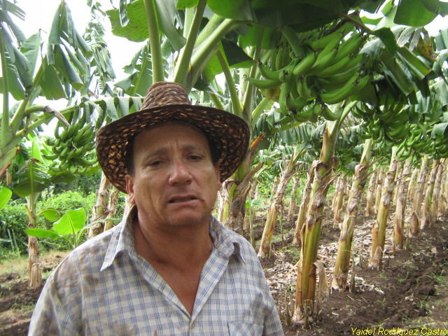 Agricultura, planes y limitaciones objetivas 3 FormatFactoryIMG 0530