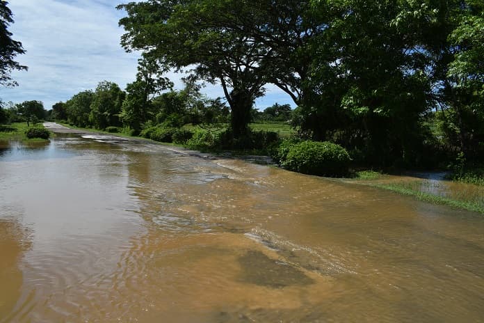 arroyo limones