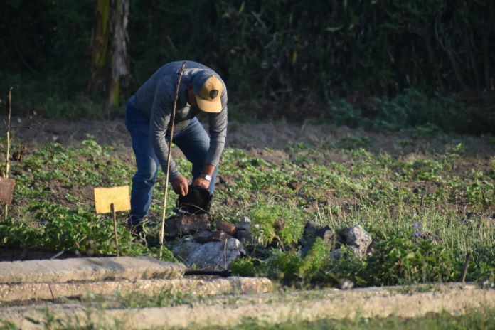 trabajo voluntario 14