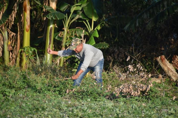 trabajo voluntario 15