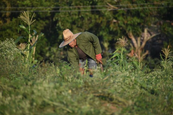 trabajo voluntario 19