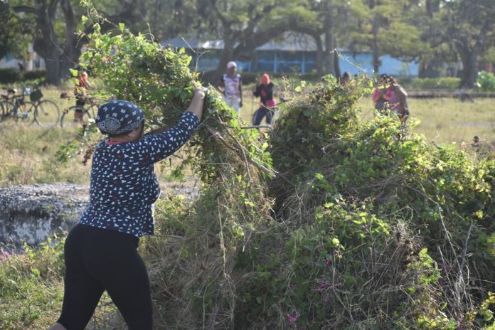 trabajo voluntario 3