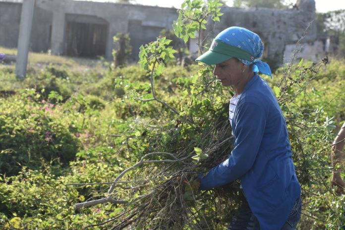 trabajo voluntario 5