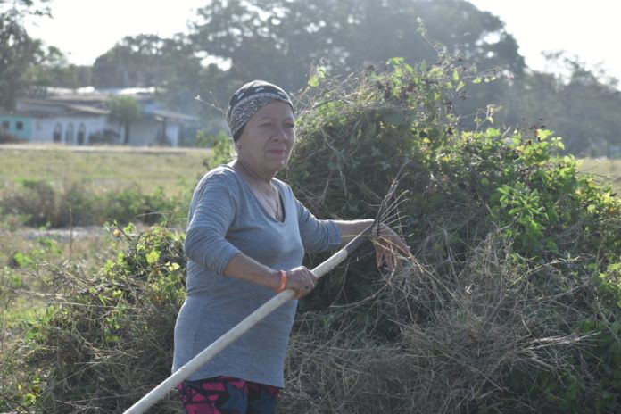 trabajo voluntario 6