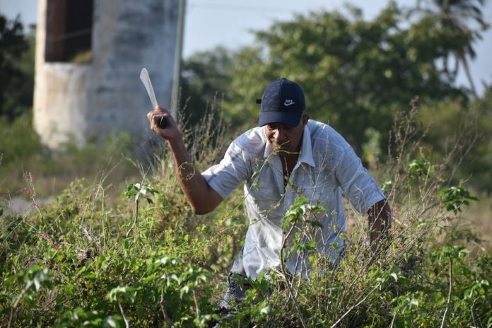 trabjao voluntario 2