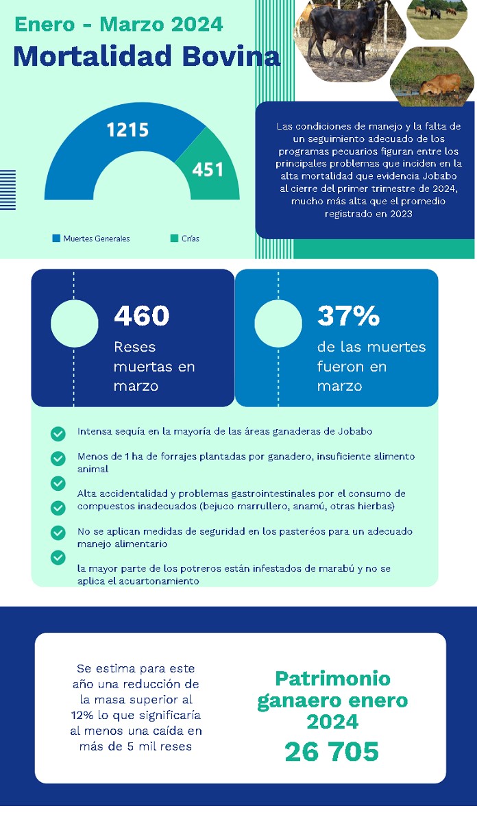 infografia mortalidad vacuna