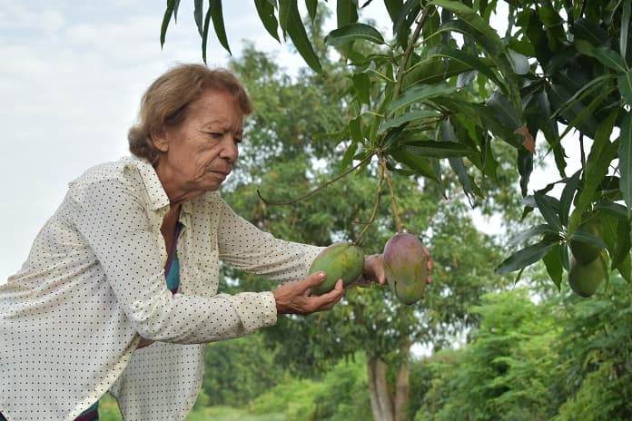 Transformando, empeño de mujer emprendedora