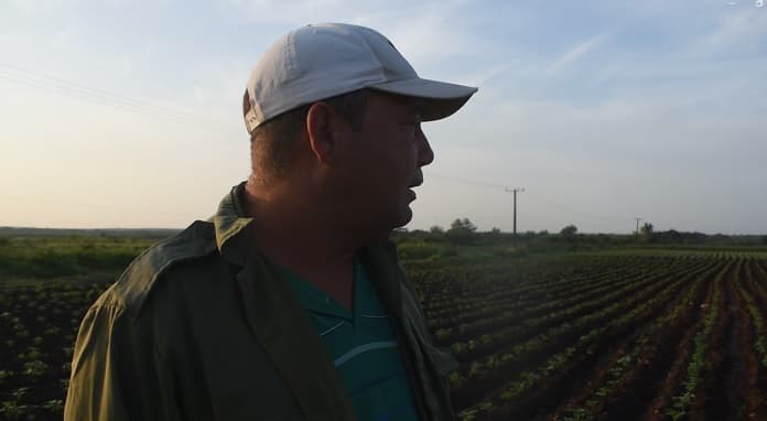 La apuesta de Maiber