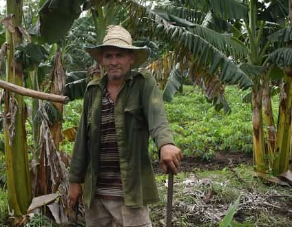 CCS Jorge Aleaga Peña destaca en el Día del Campesino con historias como la de Adonis Ramírez