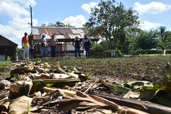 Especialista nacional reconoce avances en la Agricultura Urbana desde recorrido anterior