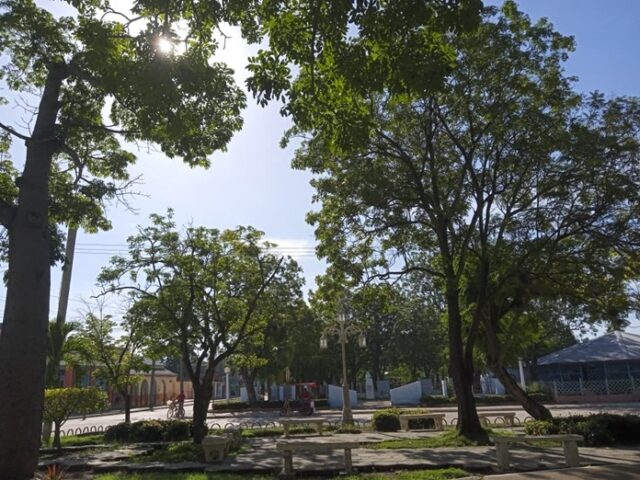 WhatsApp Image 2025 09 15 at 17.28.45